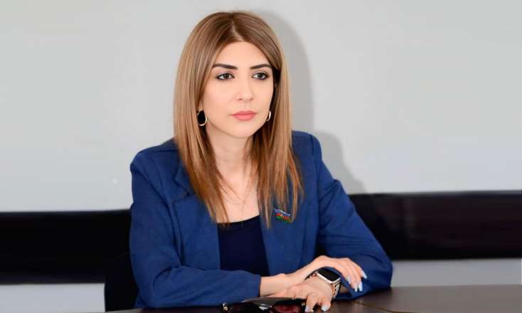 Azərbaycan heç vaxt təzyiq qarşısında geri addım atmayacaq - 
